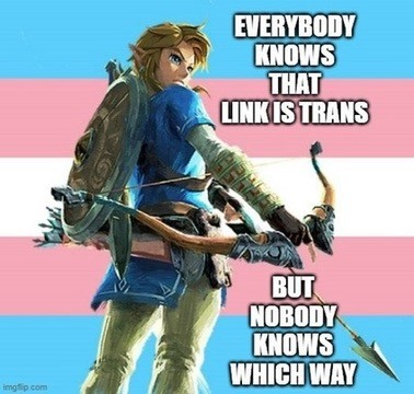 "Everybody knows that link is trans, but nobody knows which way."

Showing a picture of BOTW link against a trans flag background