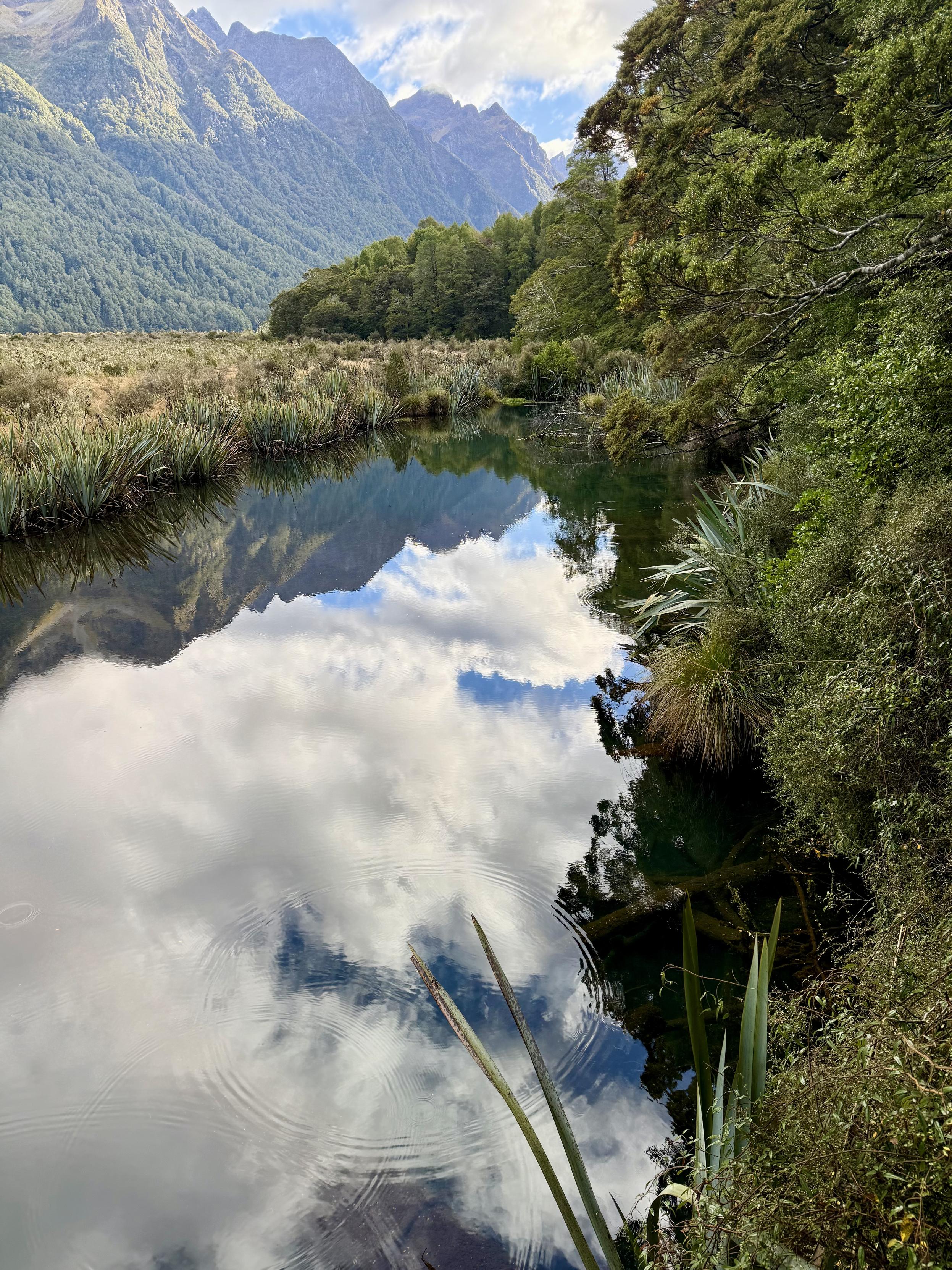 Mirror Lake, Fjordlands, New Zealand
Image of still lake in foreground with blue sky and clouds reflected, background is mountains covered in green carpet of trees